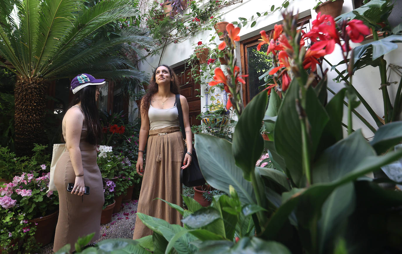 Patios Córdoba 2023 | Los detalles de la ruta Judería-San Francisco, en imágenes