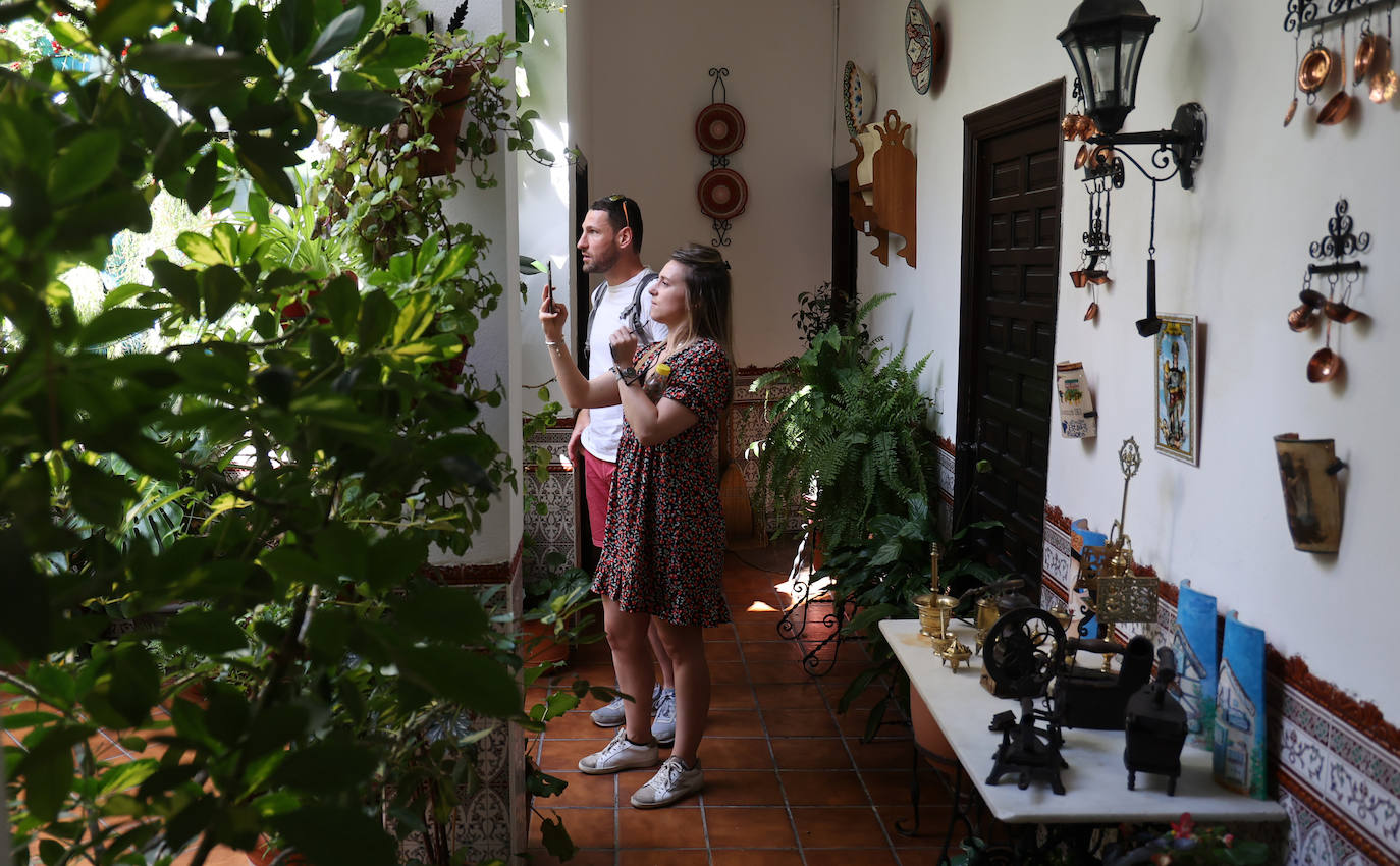 Patios Córdoba 2023 | Los detalles de la ruta Judería-San Francisco, en imágenes