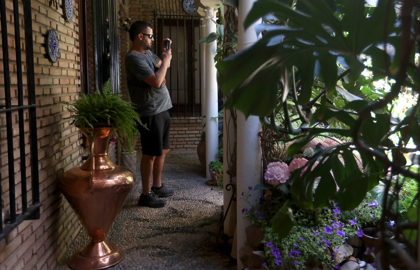 Patios Córdoba 2023 | Los detalles de la ruta Judería-San Francisco, en imágenes