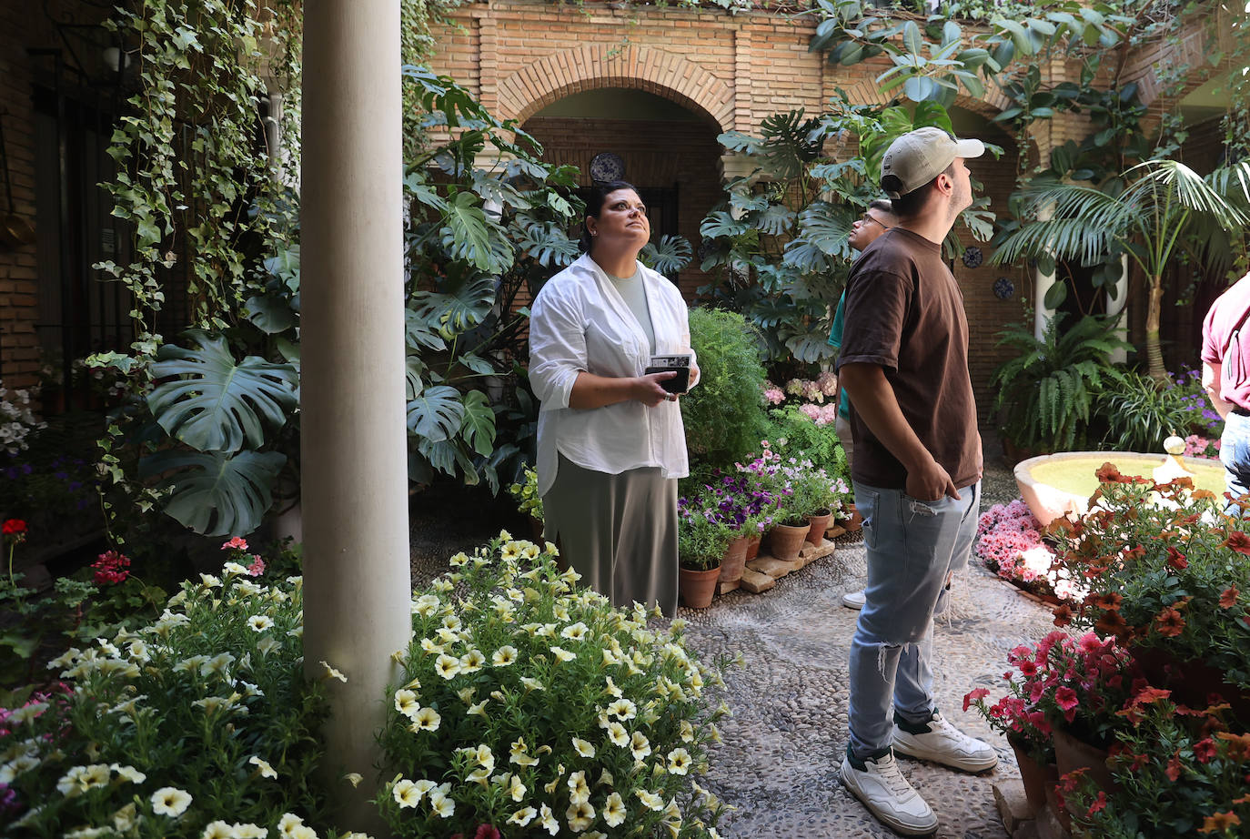 Patios Córdoba 2023 | Los detalles de la ruta Judería-San Francisco, en imágenes