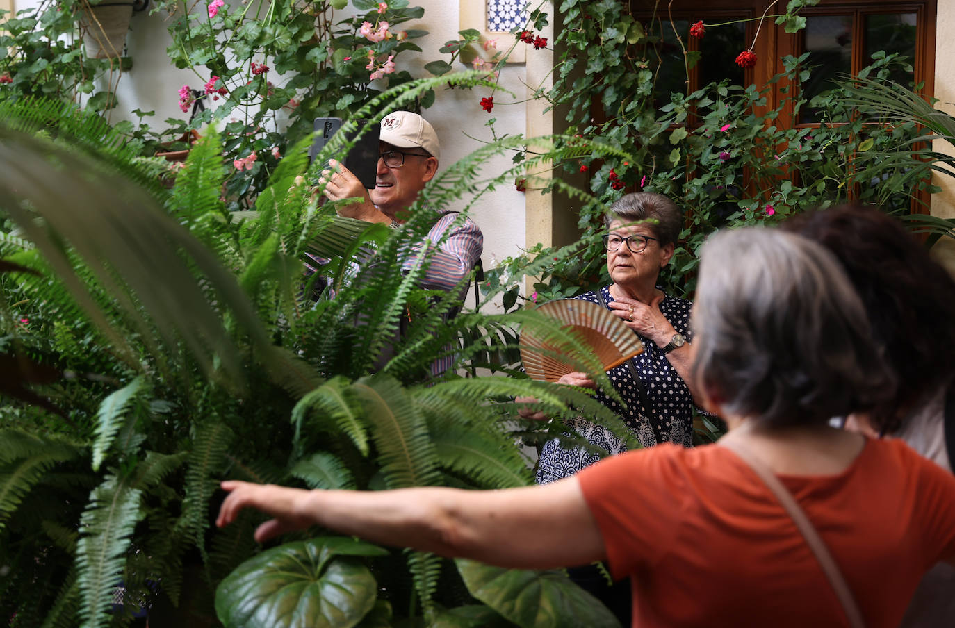 Patios Córdoba 2023 | Los detalles de la ruta Judería-San Francisco, en imágenes