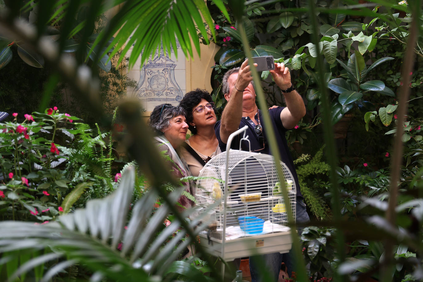 Patios Córdoba 2023 | Los detalles de la ruta Judería-San Francisco, en imágenes