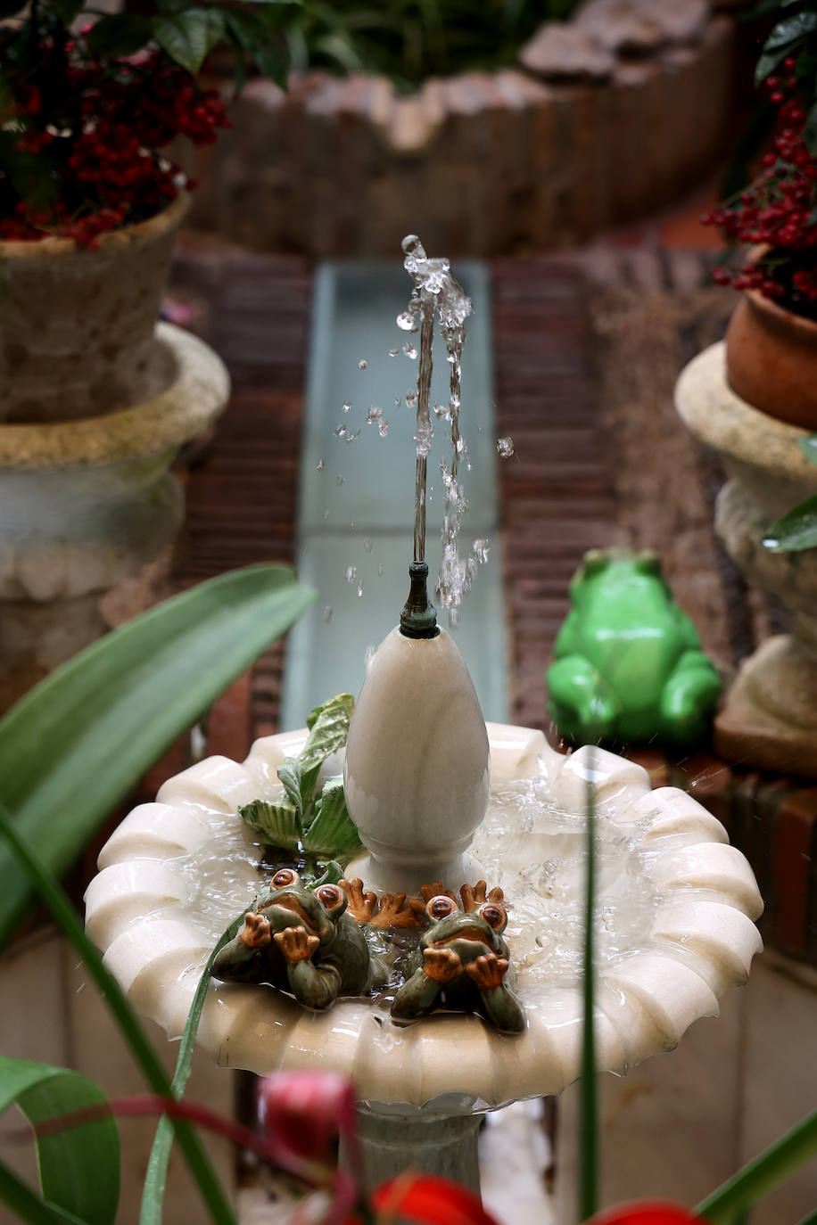 Patios Córdoba 2023 | Los detalles de la ruta Judería-San Francisco, en imágenes