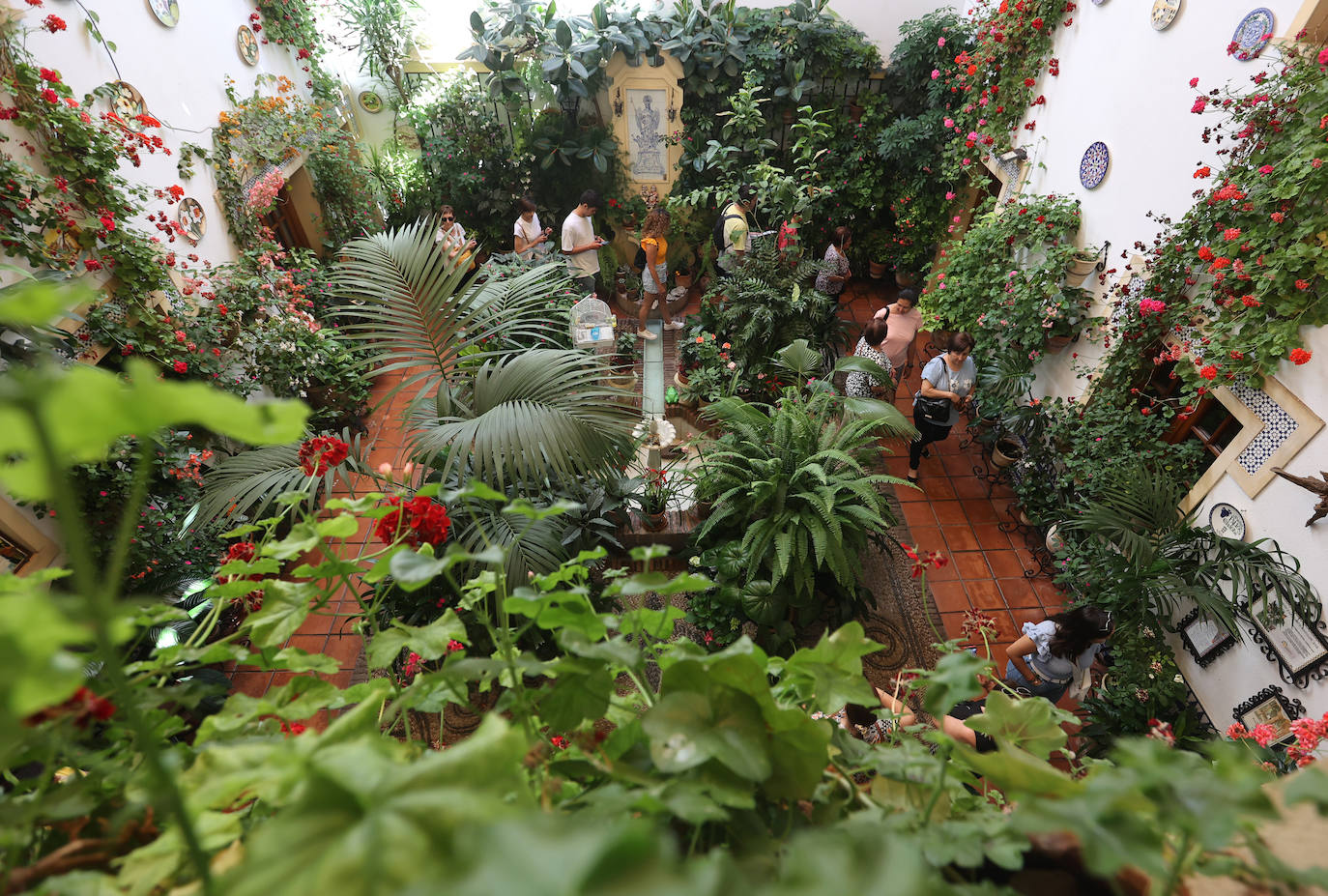 Patios Córdoba 2023 | Los detalles de la ruta Judería-San Francisco, en imágenes