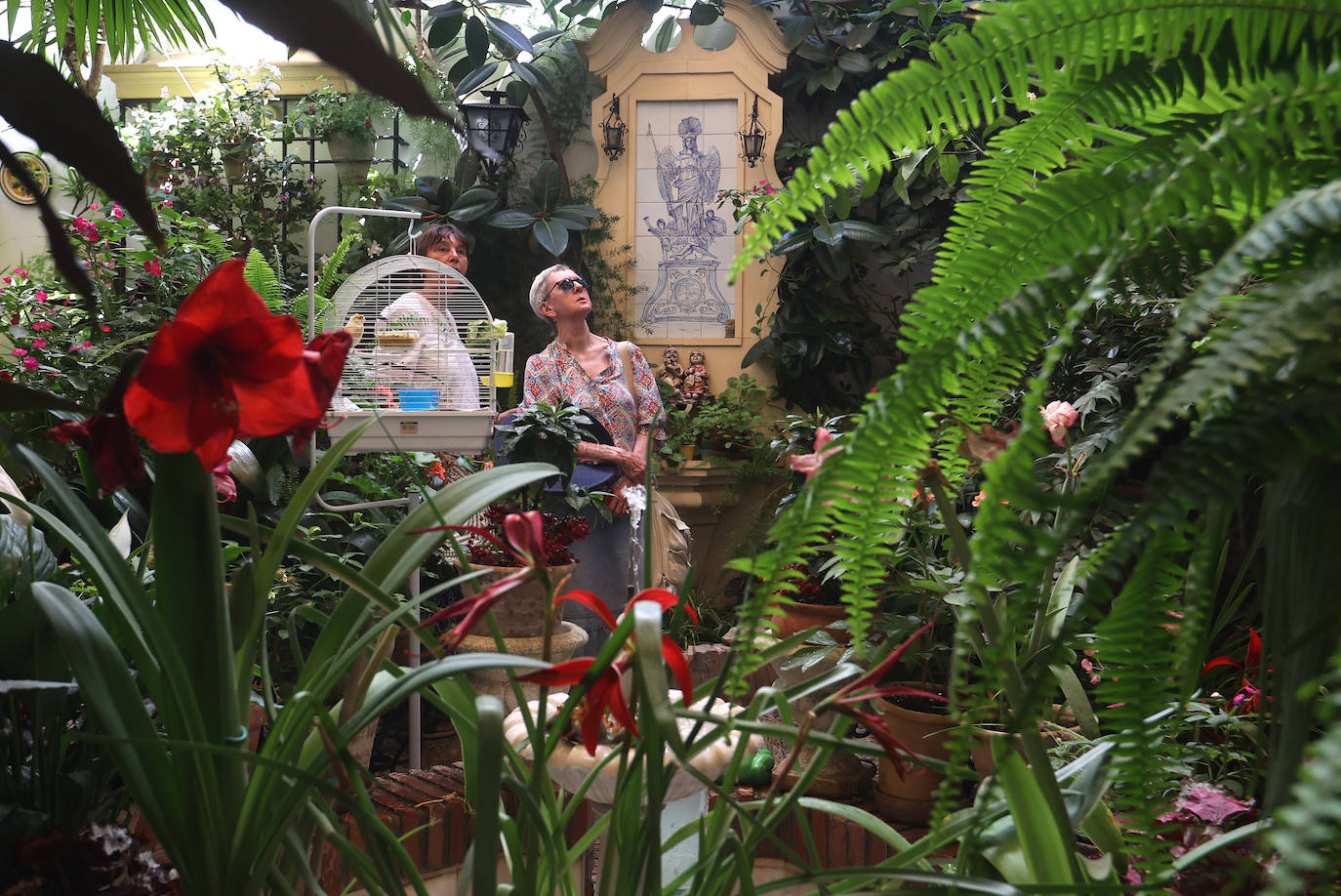 Patios Córdoba 2023 | Los detalles de la ruta Judería-San Francisco, en imágenes