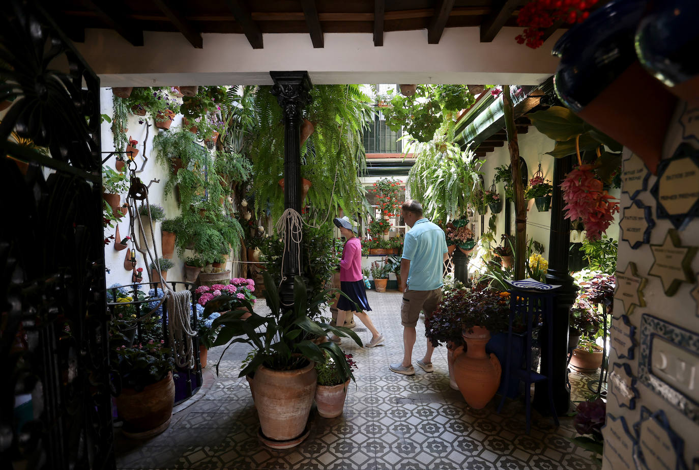 Patios Córdoba 2023 | Los detalles de la ruta Judería-San Francisco, en imágenes