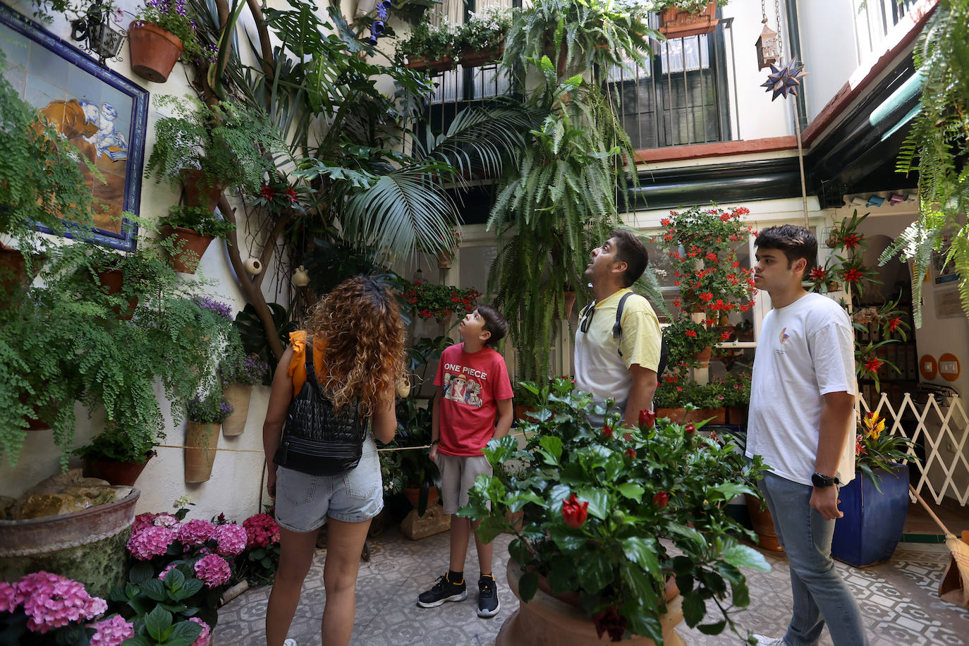 Patios Córdoba 2023 | Los detalles de la ruta Judería-San Francisco, en imágenes