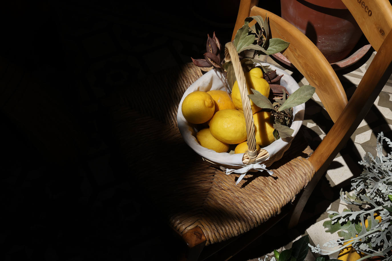 Patios Córdoba 2023 | Los detalles de la ruta Judería-San Francisco, en imágenes