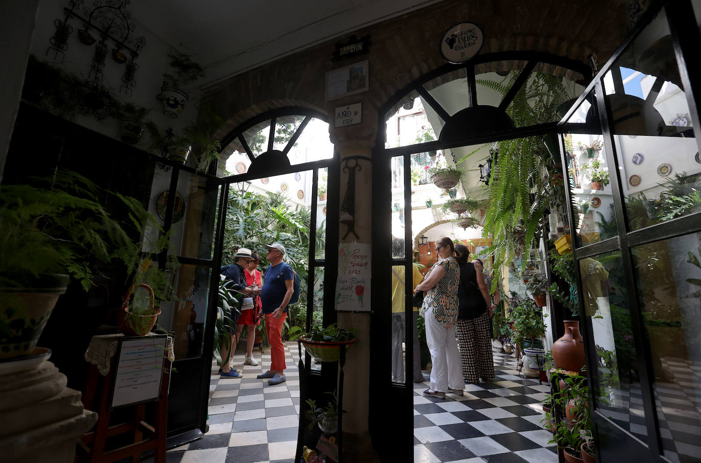 Patios Córdoba 2023 | Los detalles de la ruta Judería-San Francisco, en imágenes