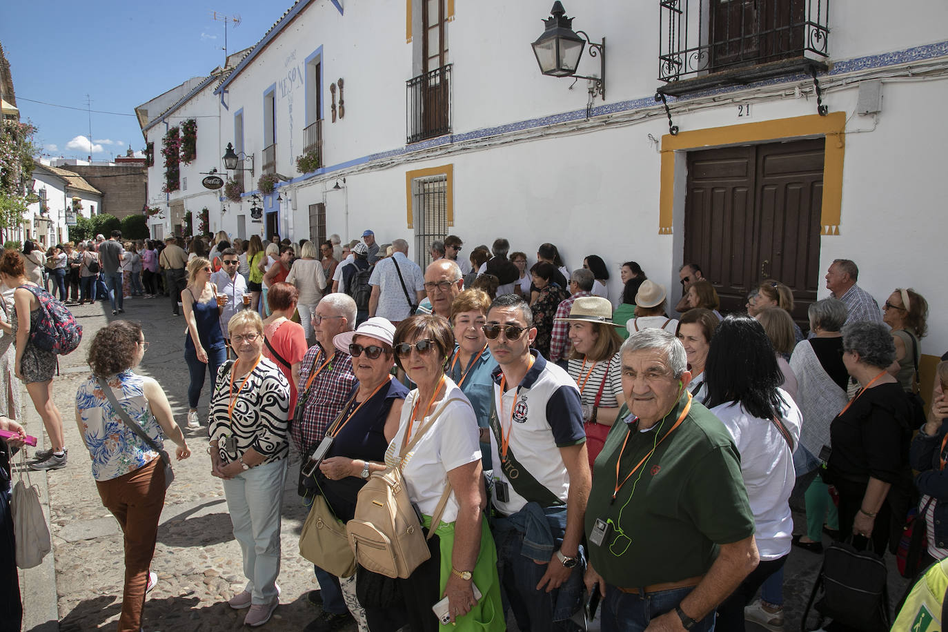 Los Patios llenan Córdoba este sábado de colas, en imágenes