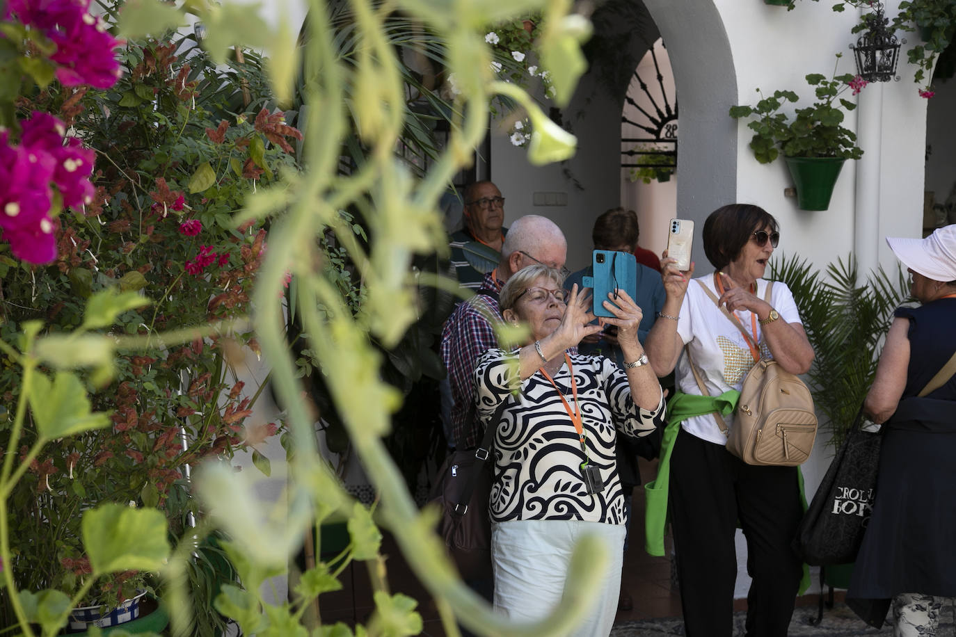 Los Patios llenan Córdoba este sábado de colas, en imágenes