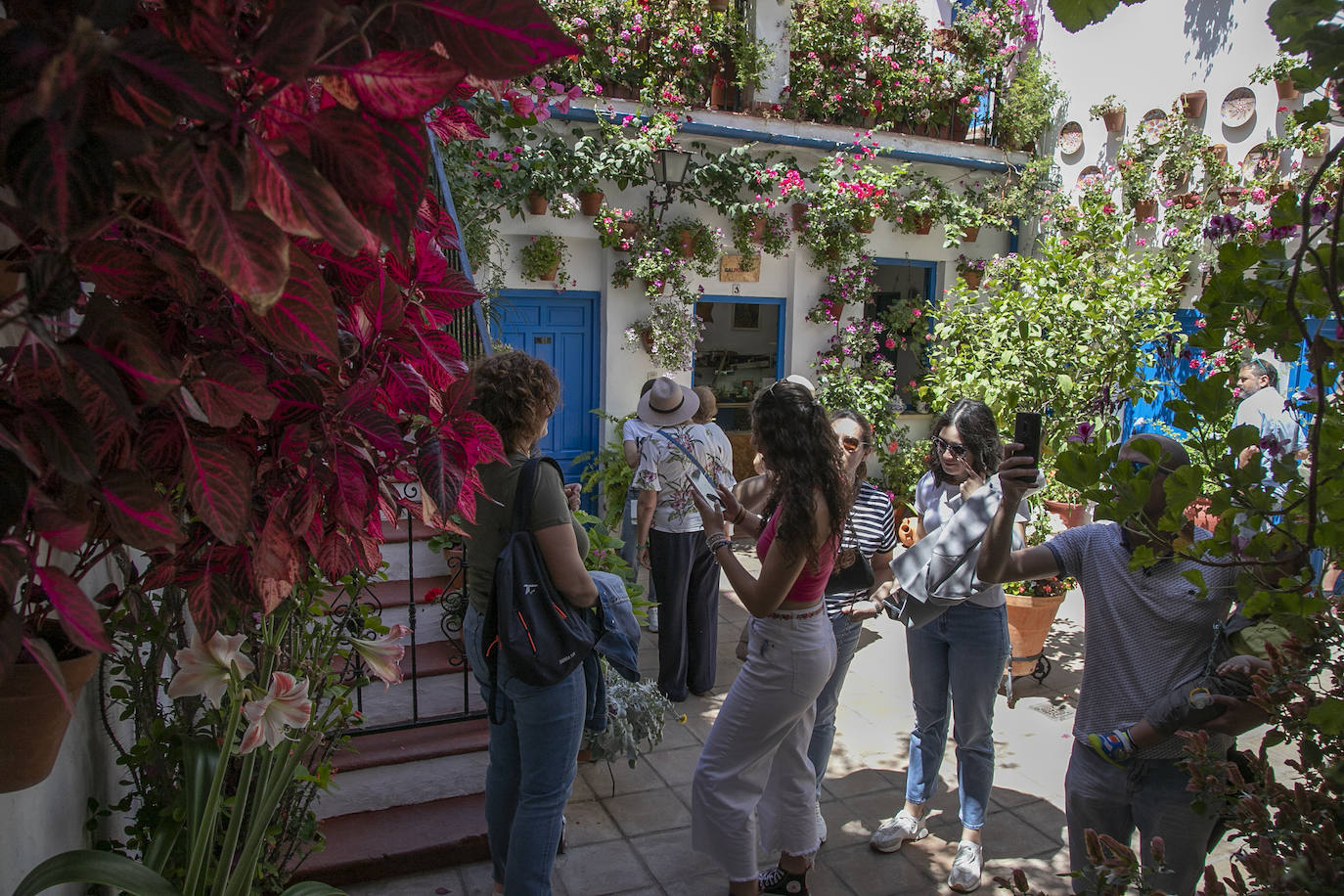 Los Patios llenan Córdoba este sábado de colas, en imágenes