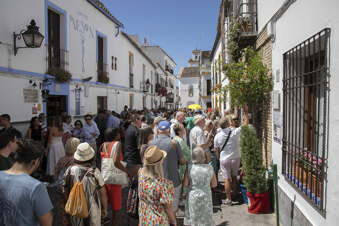 Los Patios llenan Córdoba este sábado de colas, en imágenes