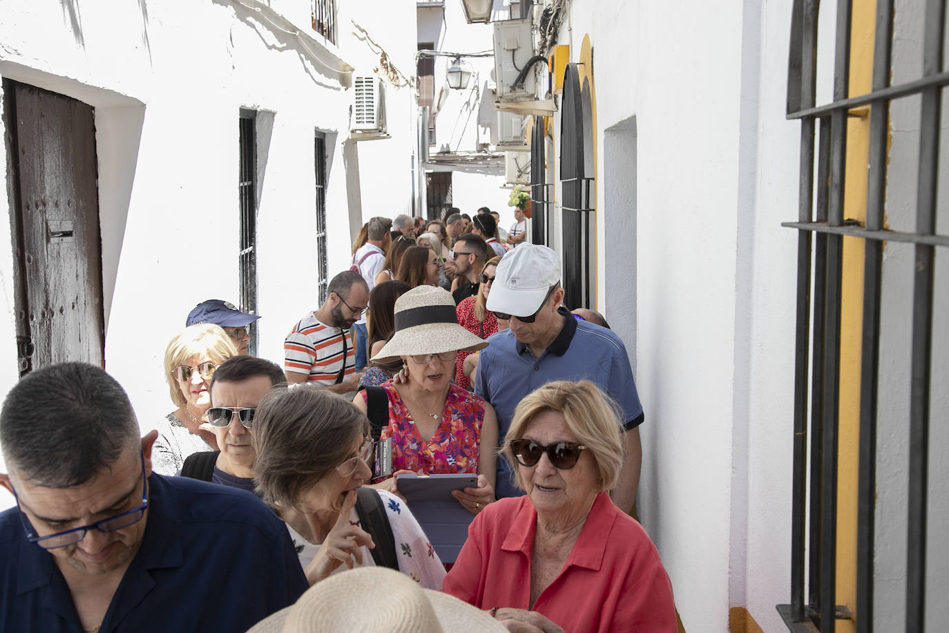 Los Patios llenan Córdoba este sábado de colas, en imágenes