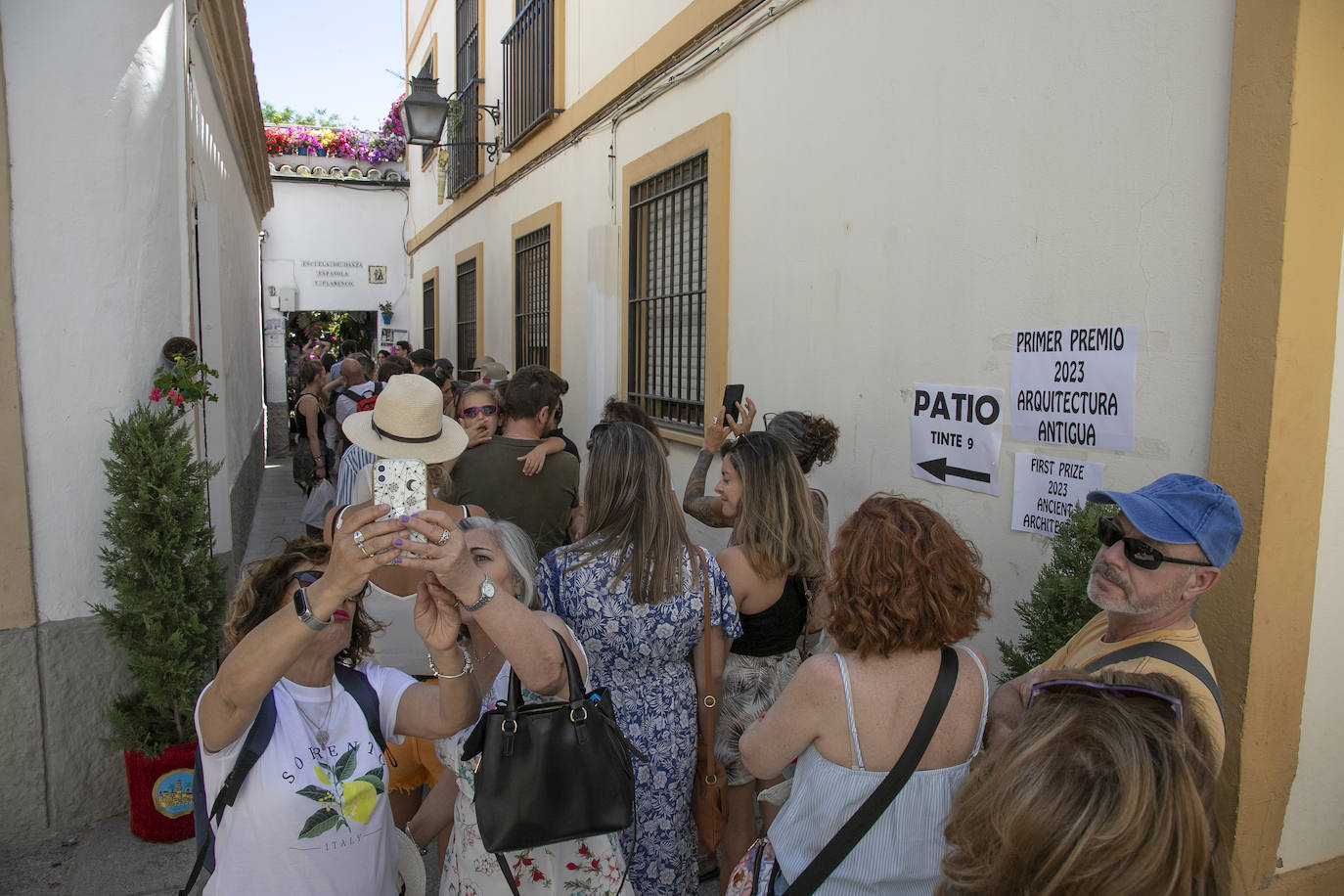 Los Patios llenan Córdoba este sábado de colas, en imágenes