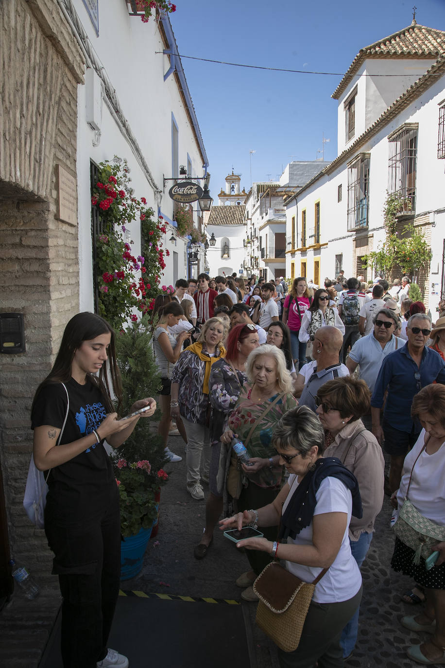 Los Patios llenan Córdoba este sábado de colas, en imágenes