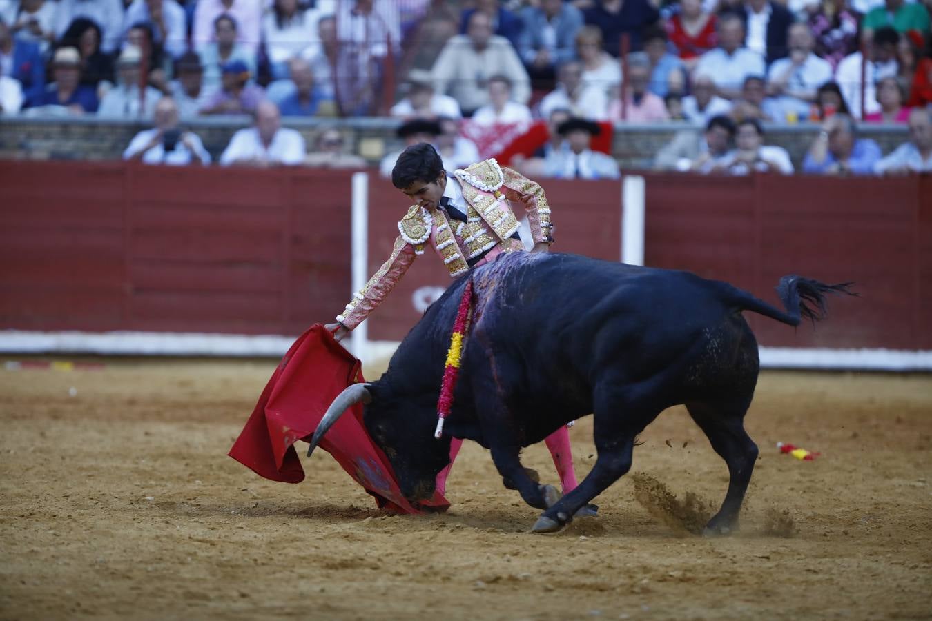 El triunfo de Manuel Román en su debú en la plaza de toros de Córdoba, en imágenes