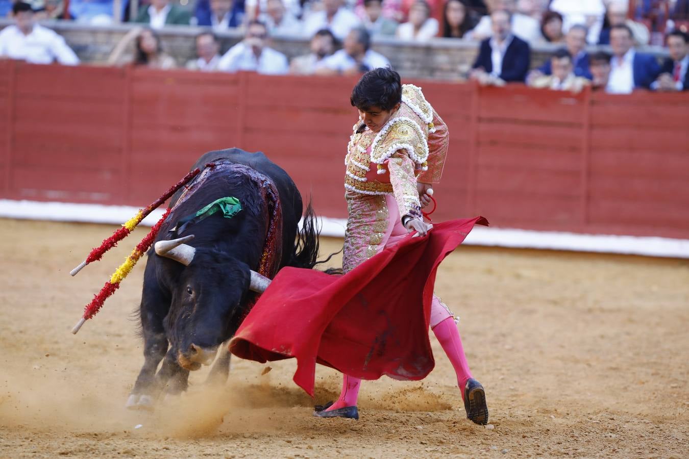 El triunfo de Manuel Román en su debú en la plaza de toros de Córdoba, en imágenes
