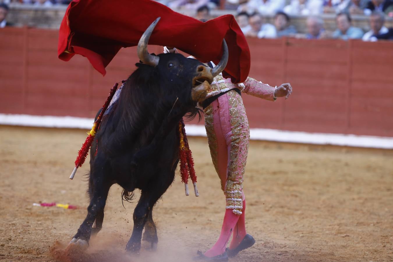 El triunfo de Manuel Román en su debú en la plaza de toros de Córdoba, en imágenes