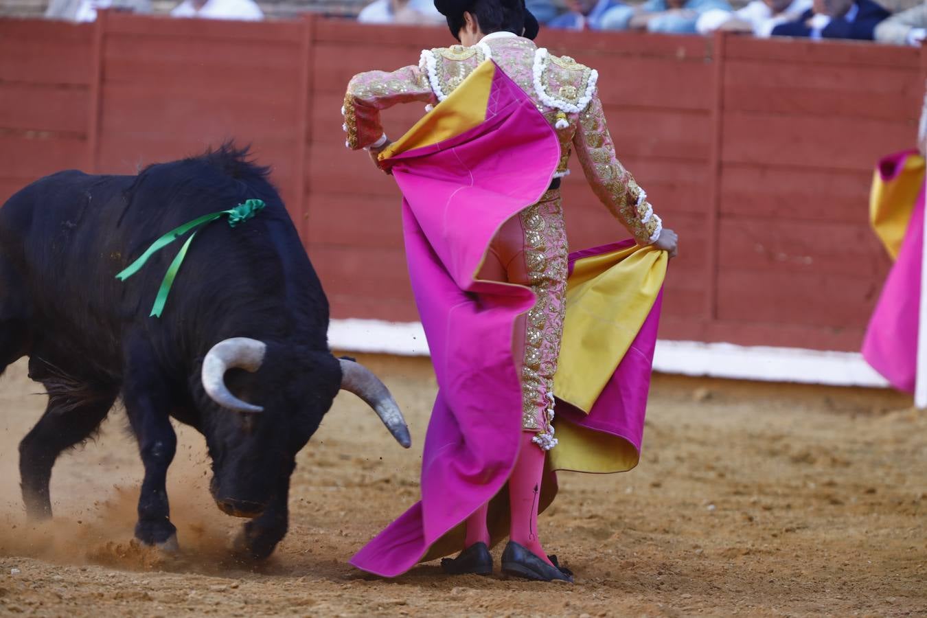 El triunfo de Manuel Román en su debú en la plaza de toros de Córdoba, en imágenes