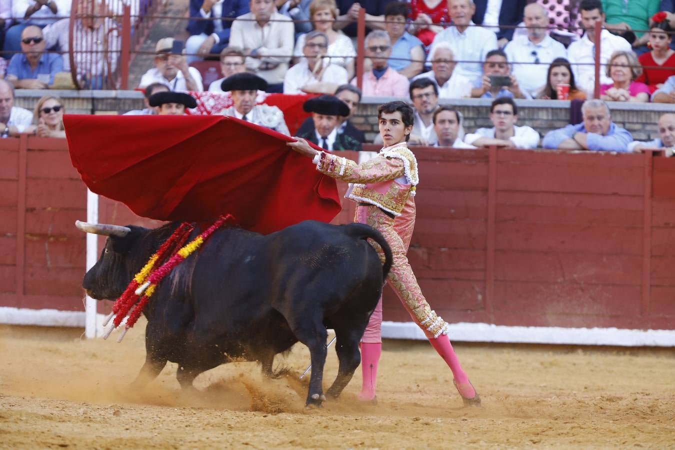 El triunfo de Manuel Román en su debú en la plaza de toros de Córdoba, en imágenes