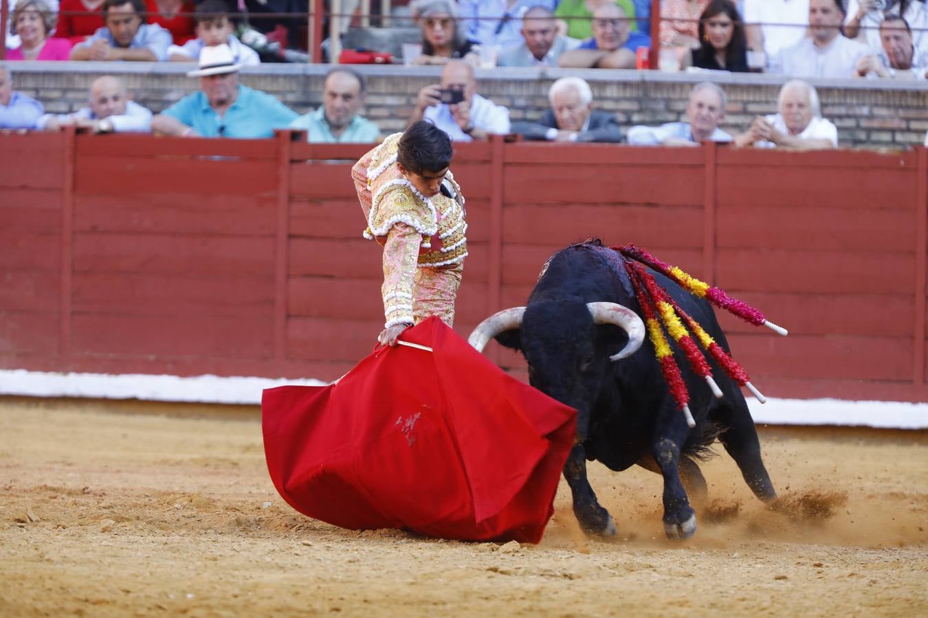 El triunfo de Manuel Román en su debú en la plaza de toros de Córdoba, en imágenes