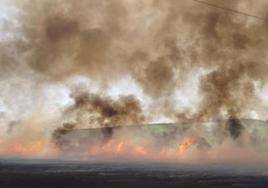 Incendio Córdoba | El fuego en un trigal calcina 700 hectáreas junto a la A-4