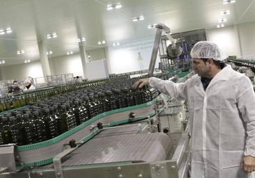 Las grandes cooperativas del campo cordobés disparan sus ventas más de un 50%