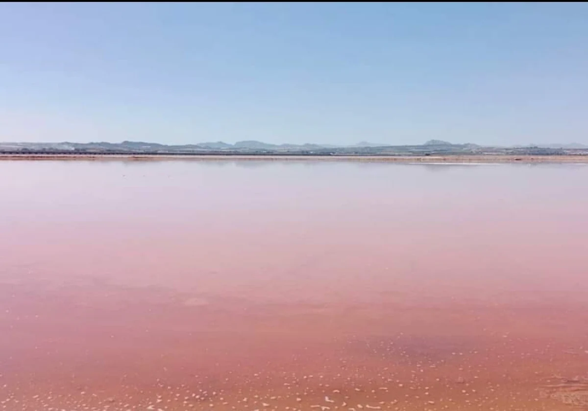 Científicos descubren el poder anticancerígeno del pigmento rosado del agua  de las Salinas de Santa Pola