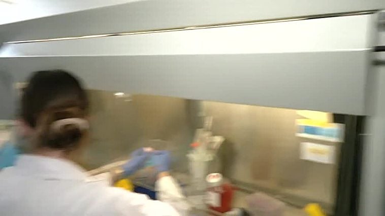 Un pigmento poderoso contra el cáncer de mama en las salinas de Santa Pola