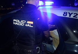 Detenidos cuatro ladrones pillados 'in fraganti' en un piso tapiado contra los okupas y con precinto policial