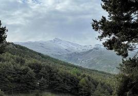 La nieve vuelve a Sierra Nevada en pleno mes de mayo