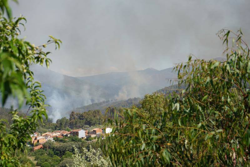 El fuego afecta al norte de Cáceres desde la noche del pasado miércoles, inició en el municipio de Pinofranqueado. El viento, de hasta 50 kilómetros por hora, está dificultando el trabajo de extinción
