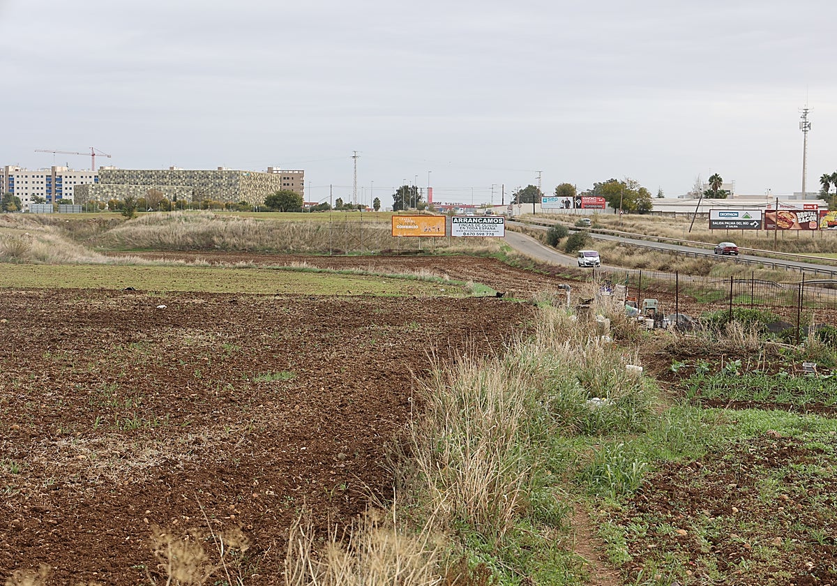 Terrenos del plan de sectorización Carretera Aeropuerto, en concreto, del sector A