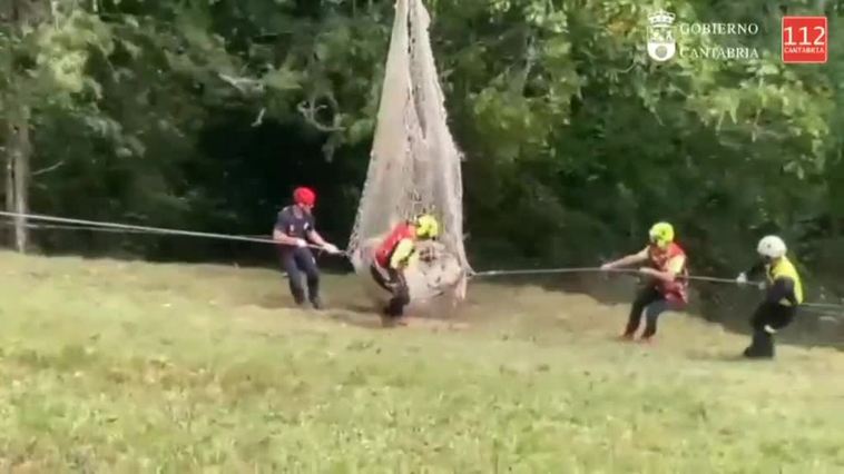 Rescatan en helicóptero a una vaca con una pata rota en las montañas de Cantabria