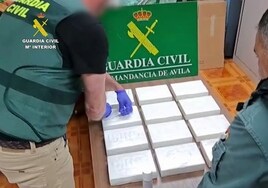 Cocaína con sello del cartel de Jalisco se cuela en Ávila