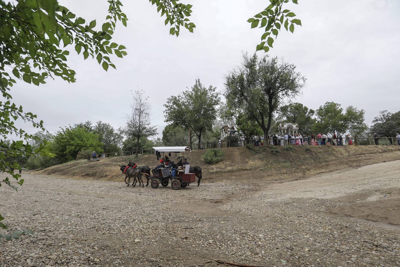 Diferentes momentos del paso de hermandades, este martes, por el Vado de Quema