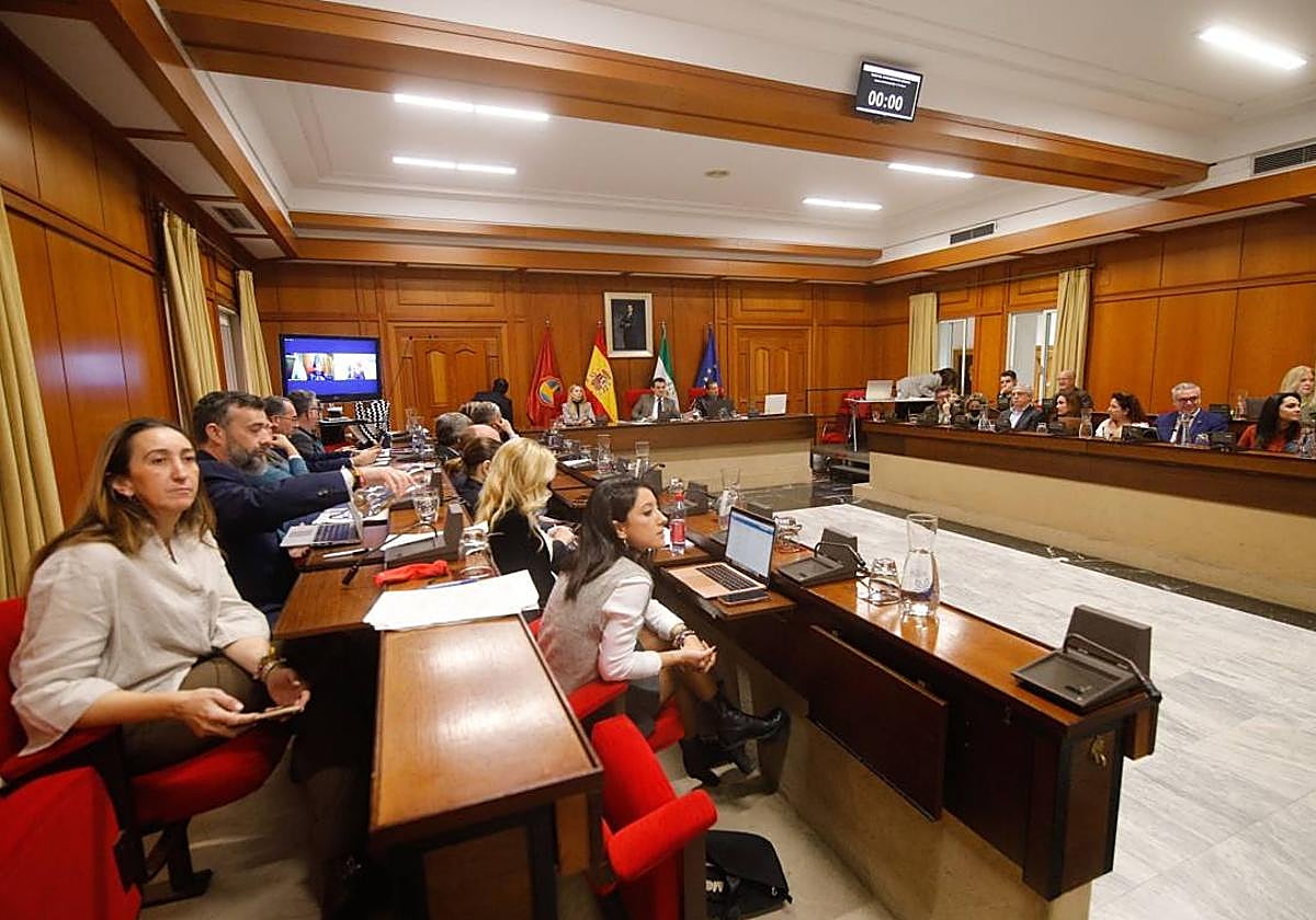 Pleno del Ayuntamiento de Córdoba