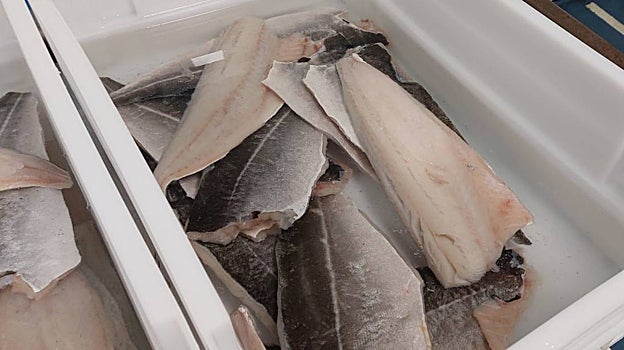 Imagen de pescado en un proceso de descongelación incorrecta en el hospital La Fe