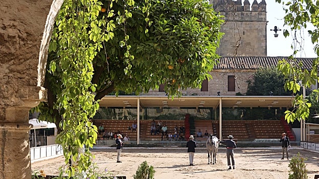 La Córdoba que está por venir durante el próximo mandato