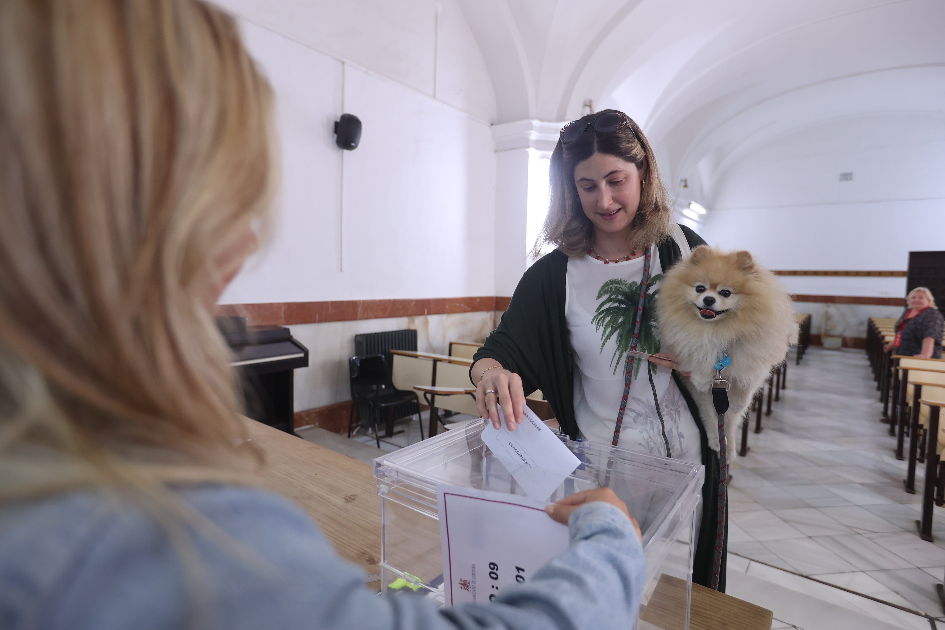 Así votan los cordobeses en los colegios electorales, en imágenes