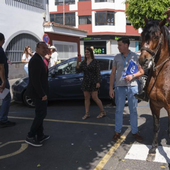 Un vecino de Arucas (Gran Canaria) acude a votar a caballo