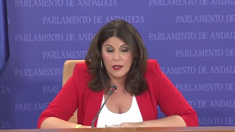 PSOE-A supone que la ley de regadíos habrá aportado "algún puñado de votos" al PP-A