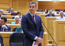 Sánchez suspende su discurso en la Eurocámara como presidente de turno