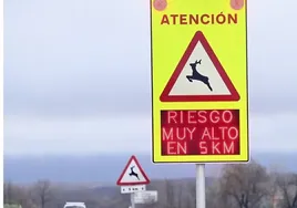 Los accidentes provocados por animales en las carreteras de Castilla y León se duplican en la última década