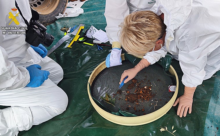 Imagen principal - Para recuperar restos óseos de Jesús María en esta finca se está trabajando con rigor y precisión