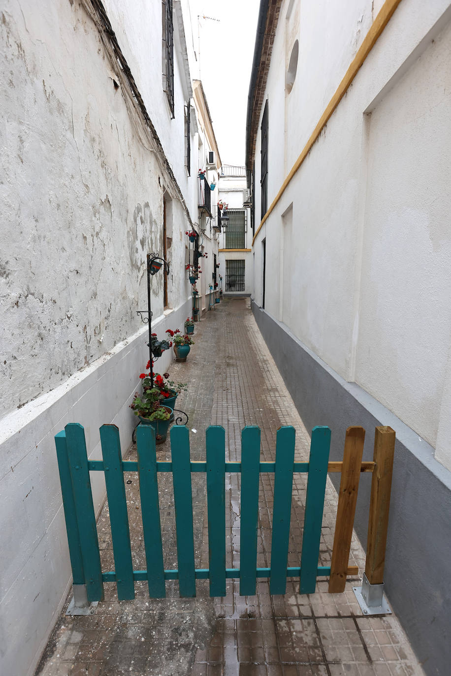 Las callejas históricas de Córdoba, en imágenes