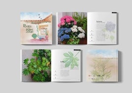 El Consorcio recoge en un libro las 21 plantas más típicas de los patios toledanos