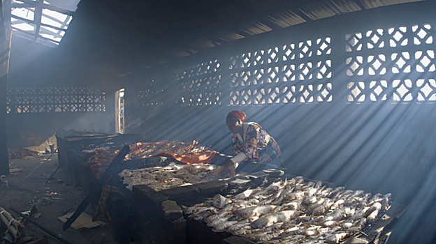 Clip del documental Stolen Fish