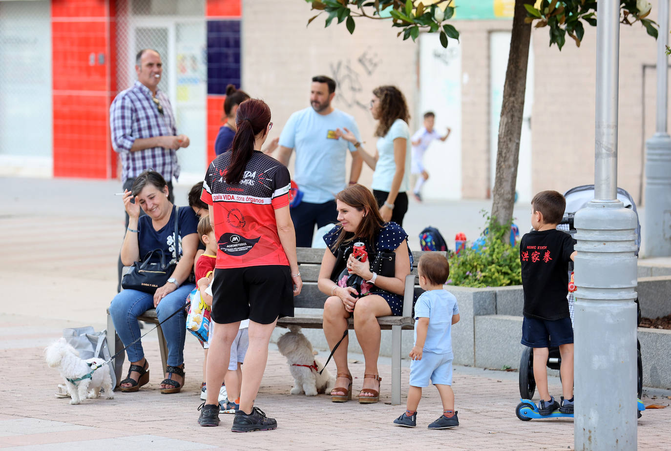 El barrio de Nuevo Poniente en Córdoba, en imágenes